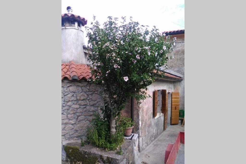 Vacation Home Marinici Mošćenička Draga Buitenkant foto