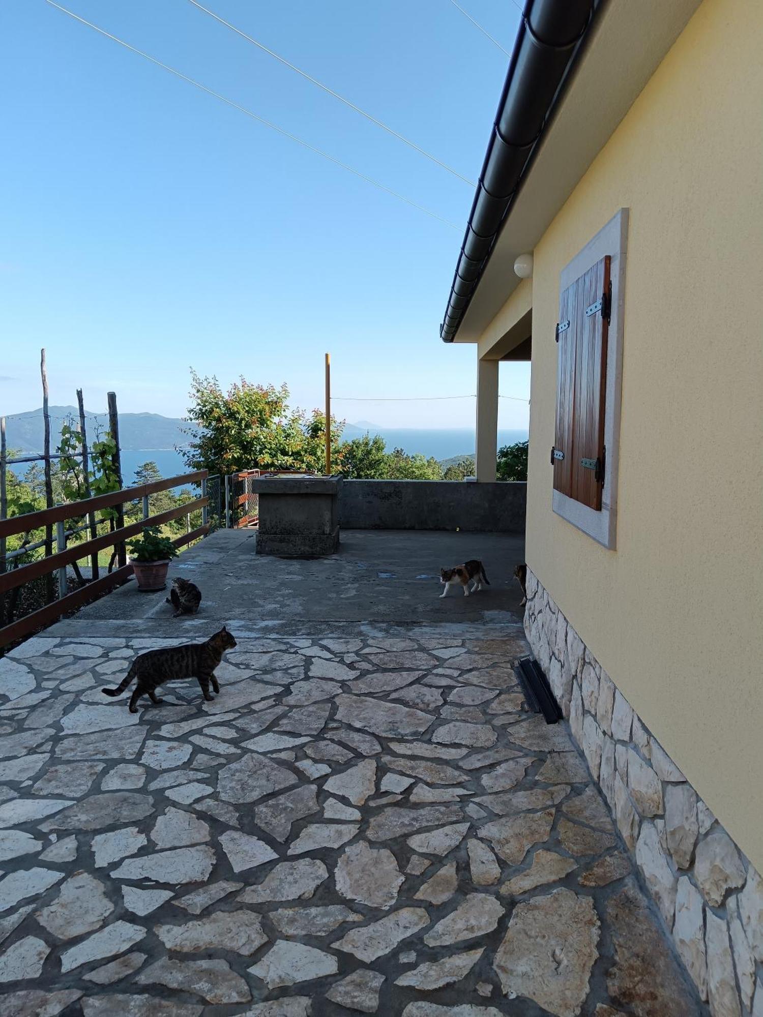 Vacation Home Marinici Mošćenička Draga Buitenkant foto